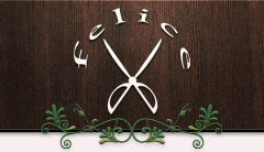 felice ̪ذ